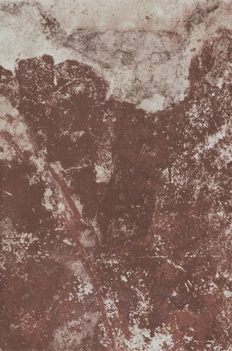 Плитка Rosso D'amante 40х60 см (8 мм)