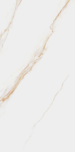 Плитка Aureus 60х120 см