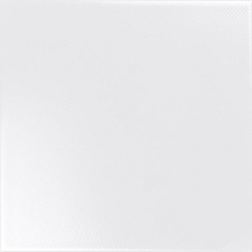 20*20 Black&White Blanco керамическая плитка