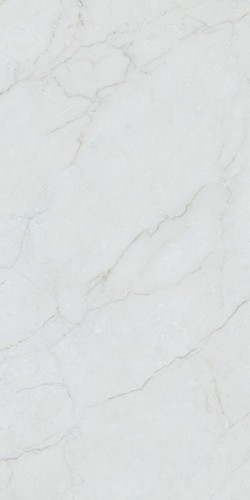 Плитка Caryn Bianco Pul Rect 60х120 см (10 мм)