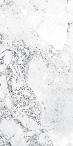 Плитка Forest White Semi Polished 60х120 см