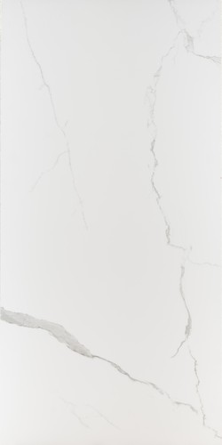 1041 GLOSSY CALCATTA