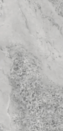 Плитка Light Gray Gem 80х160 см