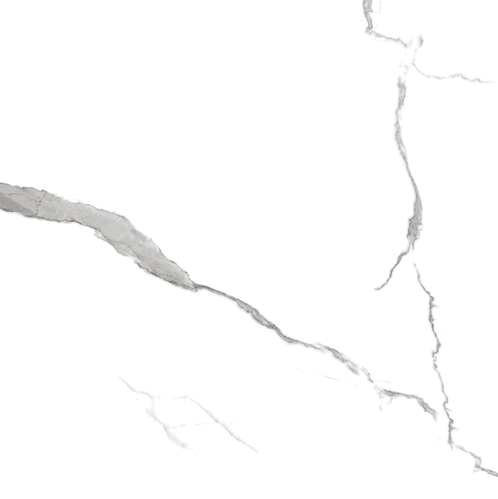 4310 GLOSSY CALCATTA