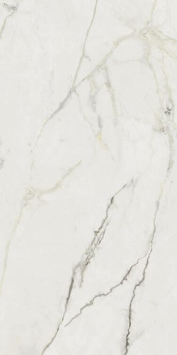 Arlon  Pulido Rect керамический гранит 80*160