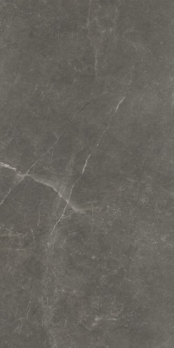 Плитка Bayona Grey Natural 60х120 см