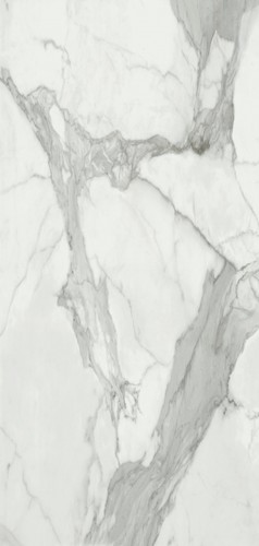 Invictus Pulido  A 120*260