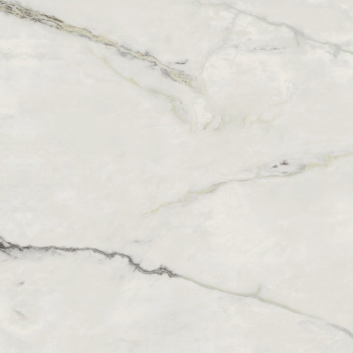 Arlon Pulido Rect керамический гранит 80*80