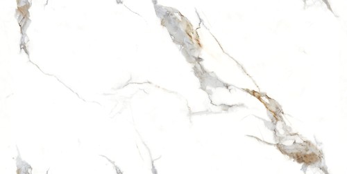 INFINITY STATUARIO LITHIC